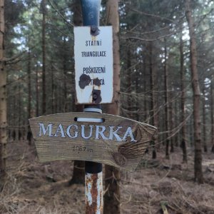daja.cz na vrcholu Magurka (30.10.2023 13:54)
