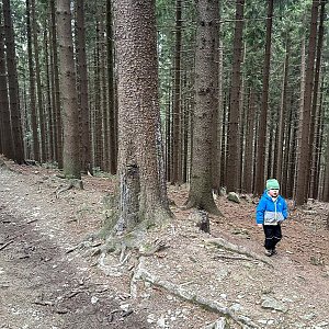 Alexandr Starý na vrcholu Nad Jezerným - JZ vrchol II (3.3.2024 12:50)