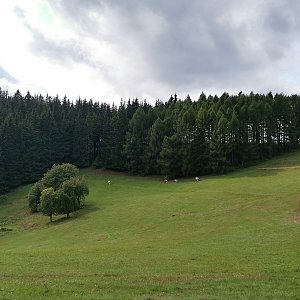 Šárka na vrcholu Pálenice - SV vrchol (16.9.2022 14:35)