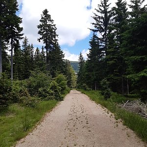 Marcela na vrcholu Vlčí hřeben S (23.6.2024 11:56)