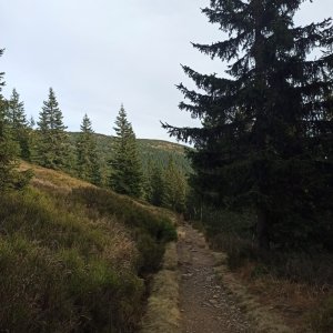 Jana na vrcholu Vlčí hřeben S (13.11.2025 11:53)