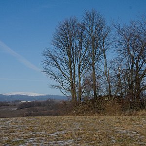 Bohumír Michal na vrcholu Lesný - S vrchol (15.1.2022 13:11)