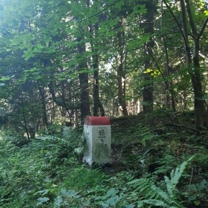 ZdenkaV na vrcholu Čedičový vrch (13.8.2025 9:50)