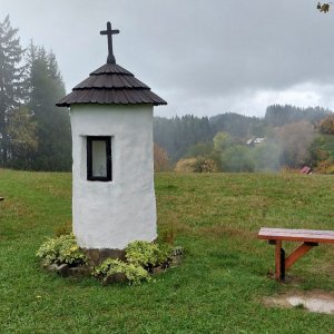 Mykas na vrcholu Koncová S2 (13.10.2024 15:45)