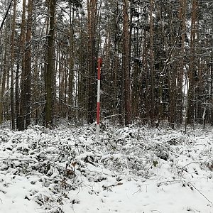 Vladimír Grančay na vrcholu Stohlavec (8.1.2024 11:06)