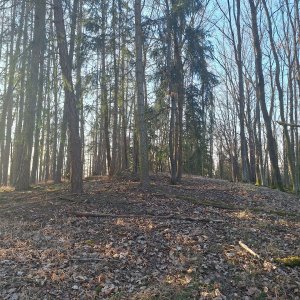 Cyklista 73 na vrcholu Parny (20.3.2025 17:10)