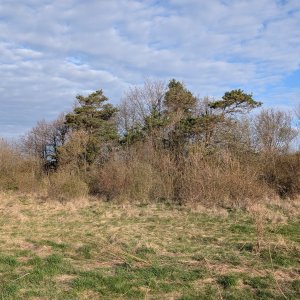 Drahanská vrchovina