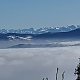 Nýdecká horalka na vrcholu Velký Polom (25.1.2020 11:51)