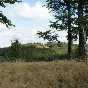 Holi na vrcholu Nad Milčí (24.9.2023 11:21)