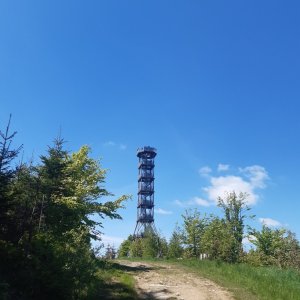 Marcela na vrcholu Feistův kopec  (11.5.2025 13:05)