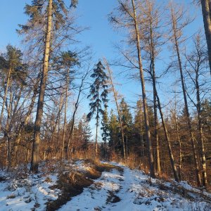 Ila na vrcholu Latkula (18.3.2025)