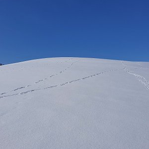 Petr Pepe Peloušek na vrcholu Na Kopci J vrchol (15.2.2021 13:13)