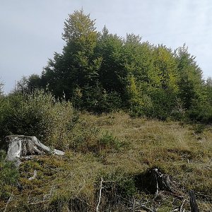 Vladimír Grančay na vrcholu Lazebníkův les (24.9.2022 10:30)