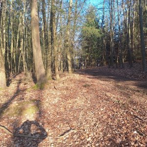 Cyklista 73 na vrcholu Hradčanská hůrka (20.3.2025 15:51)