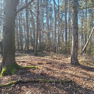 Cyklista 73 na vrcholu Holý vrch (2025)