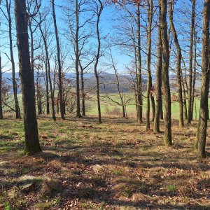 Cyklista 73 na vrcholu Kamenná hůrka (2025)