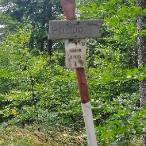 Tapírek na vrcholu Příslop (29.8.2025 12:18)