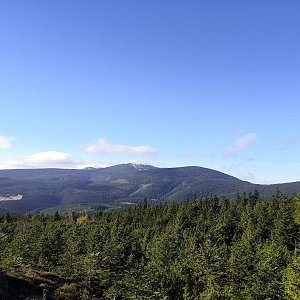 Lenka Horáková na vrcholu Lysečina (6.11.2022 11:28)