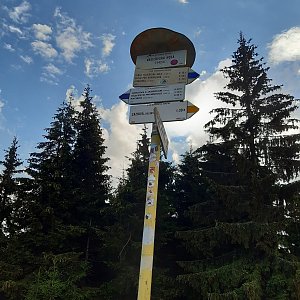 ZdenkaV na vrcholu Vasilovská hola (9.7.2022)