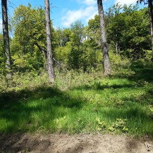 Marcela na vrcholu Pańszczyca (11.5.2025 13:57)