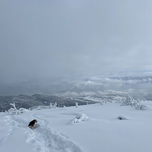 Nikola Mačková na vrcholu Barania Góra (13.2.2021 10:29)
