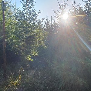 TP na vrcholu Lesenská pláň (28.9.2023 9:03)