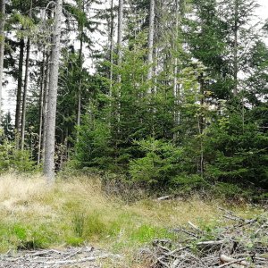 Vladimír Grančay na vrcholu Mezileský vrch - SZ vrchol (16.8.2025 10:44)