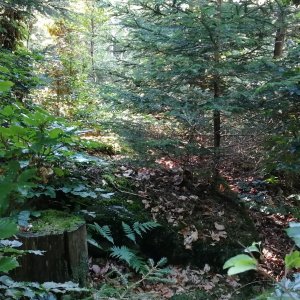 Vladimír Grančay na vrcholu Tvrdý les - JV vrchol (22.8.2025 16:57)