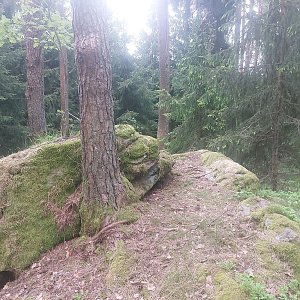 Cyklista 73 na vrcholu Ostrý (20.5.2023 18:57)