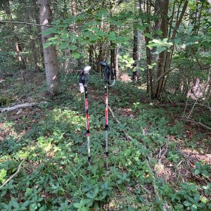 Radka D na vrcholu Výří vrch S vrchol (14.6.2025 9:16)