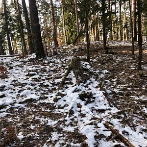 Anežka Boříková na vrcholu Lazecký vrch J vrchol (5.2.2023 12:05)