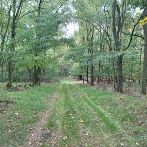 Pavlína na vrcholu Tři sády (10.10.2025 14:59)