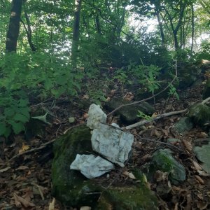 ZdenkaV na vrcholu Maselnica (13.8.2025 8:30)