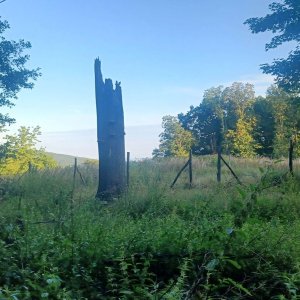 PA!WELL na vrcholu Stráň (9.8.2025 6:46)