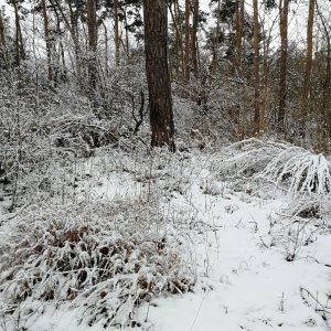 Vladimír Grančay na vrcholu Houpířka - JV vrchol (27.11.2025 9:05)