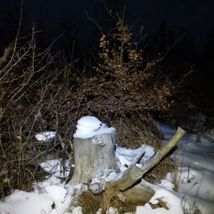 Šárka na vrcholu Javorový SZ (6.12.2024 16:33)