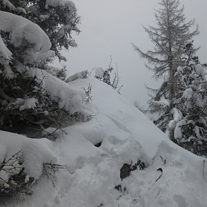 Nojby na vrcholu Popovská hora - SV vrchol (19.1.2021 11:27)