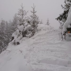 Nojby na vrcholu Popovská hora - SV vrchol (9.12.2023 13:12)