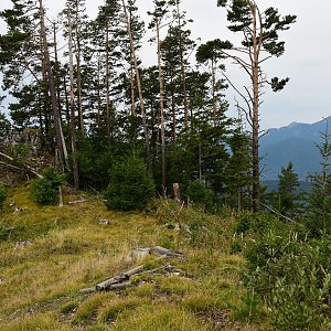 Bohumír Michal na vrcholu Pravnáč - JZ vrchol (4.9.2022 9:41)