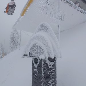 Nojby na vrcholu Klínovec-Northeast Slope (27.11.2025 12:24)