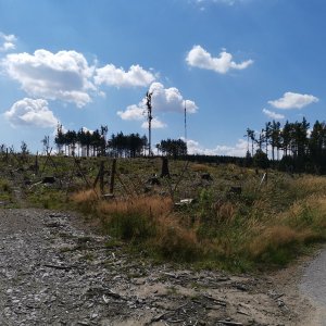 HBPE na vrcholu Javořice (3.8.2022 11:00)
