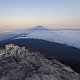 Pája na vrcholu Pico de Teide (22.11.2019 7:32)