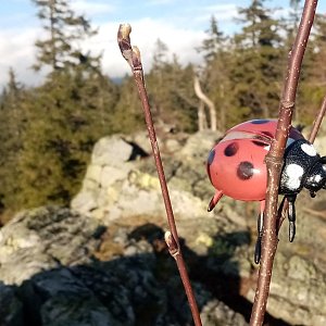 Jiřina na vrcholu Skály (16.3.2024 15:56)