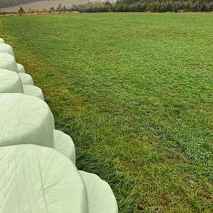 Jan Matiášek na vrcholu Nad bývalým nádražím - Borek (14.10.2020 8:45)