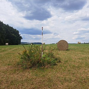 Horalka Anička na vrcholu Nad bývalým nádražím - Borek (20.7.2024 14:24)
