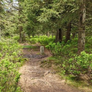 Holi na vrcholu Smrk (2.6.2025 12:12)