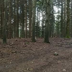 Hostýnsko-vsetínská hornatina