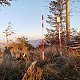 Šárka na vrcholu Stanovec (11.11.2021 15:40)