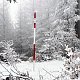 Šárka na vrcholu Stanovec (29.11.2020 14:15)