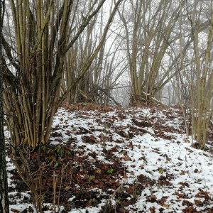 Vladimír Grančay na vrcholu Ostrá - Z vrchol (30.11.2025 11:06)